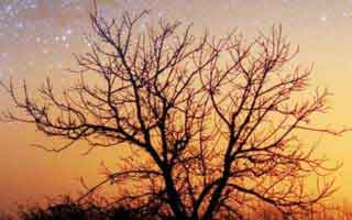 拜仁对英格兰这场训练风波，技术官员一哨后体彩数据走势变脸