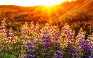 拜仁对英格兰这场训练风波，技术官员一哨后体彩数据走势变脸