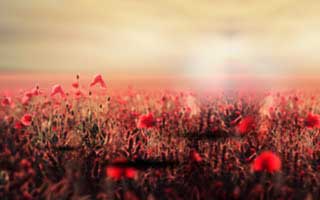 把冷热分布摊开才发现：中超日本队被忽略的关键点，真扎心，体彩数据有说法